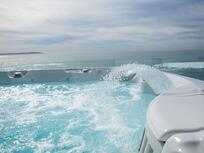 Le changement d'eau du spa